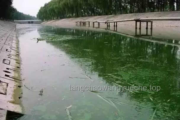 修水坝二期工程与溪流生态环境恢复：义不容辞的责任与策略